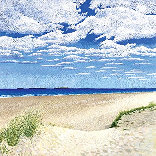 Susan Entwistle Art "Farne-Inseln Limited Edition Leinwand, Mehrfarbig, 50 x 50 cm von Susan Entwistle Art