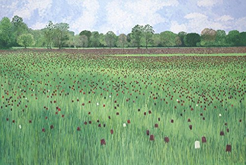 Susan Entwistle Art "perlmutterfalter Meadow Limited Edition Papier Print, Mehrfarbig, 75 x 50 cm von Susan Entwistle Art