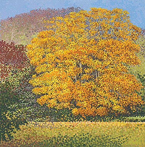Susan Entwistle Kunstdruck Field Ahorn Limited Edition Papier, Mehrfarbig, 50 x 50 cm von Susan Entwistle Art