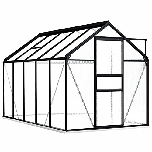 Susany Gewächshaus mit Fundamentrahmen Garten Treibhaus Pflanzenhaus Frühbeet Gartenhaus Tomatenhaus Anthrazit Aluminium Polycarbonat 5,89 m³ von Susany