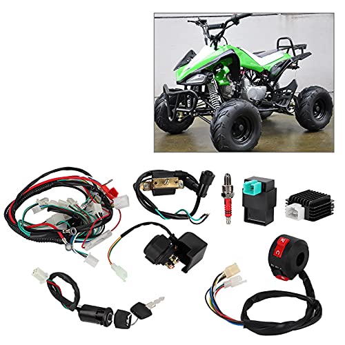 Sustvita Complete Electrics Go Kart -Set einschließlich eines vollständigen Stators, Magnetrelais, CDI und Zündkerze. Passt die meisten Dirt Bike Electrical Teile für 50ccm bis von SustVita