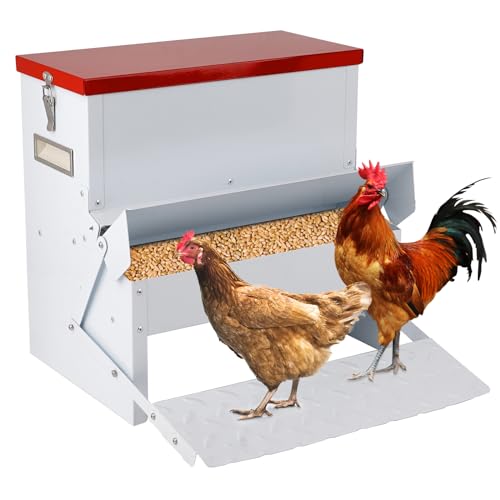 9kg Automatischer HüHnerfutterautomat, HüHner Futterautomat Rattensicher, FußBetriebener HüHnerfutterautomat, Wetterfester GeflüGelfutterautomat Aus Verzinktem Stahl für HüHner, Enten und GäNse von Svauoumu