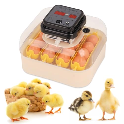 Svauoumu Inkubator, Volldigitaler Inkubator mit Automatischem Eierwender, Temperatur- und Feuchtigkeitsgesteuerter HüHnerbrutkasten Zum AusbrüTen Von HüHnern, Wachteln und GeflüGeleiern, Gelb von Svauoumu