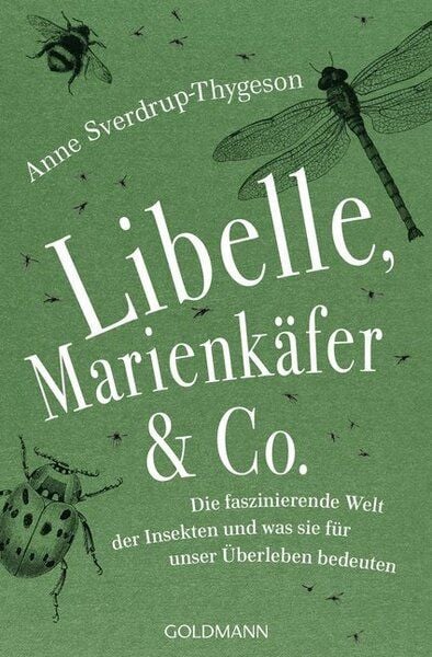 Sverdrup-Thygeson, Anne Libelle, Marienkäfer & Co von Sverdrup-Thygeson, Anne
