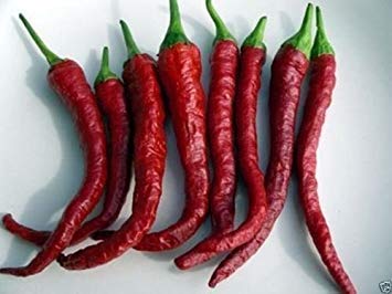 10 KASHMIRI CHILI (Pfeffersamen) Berühmter indischer Paprika - A muss wachsen.Sehr selten von SwansGreen