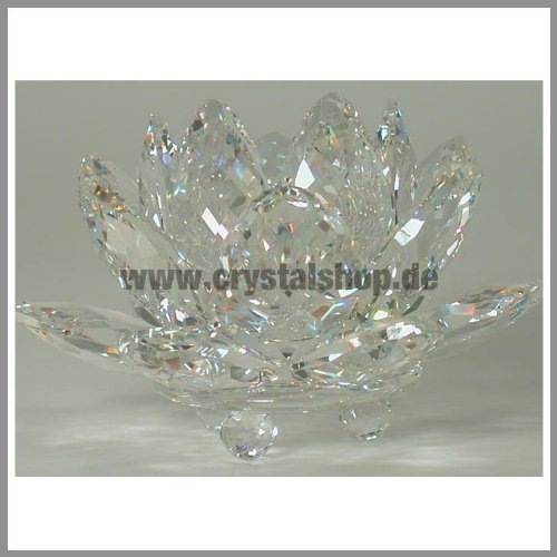 Swarovski Seerose mittel Kerzenhalter Waterlilly medium 010001 AP2011 Swarovski Seerose mittel Kerzenhalter Waterlilly medium 010001 AP2011 von Swarovski