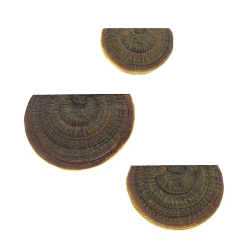 Kreative Pilz-Figuren-Regale, Haltbarkeit, Kunstharz, Handwerk, Pilz, Wand, schwebendes Regal für kleine Gegenstände, Display dekorativ Kreative Pilz-Figuren-Regale, Haltbarkeit, Kunstharz, Handwerk, Pilz, Wand, schwebendes Regal für kleine Gegenstände, Display dekorativ von Sweeaau