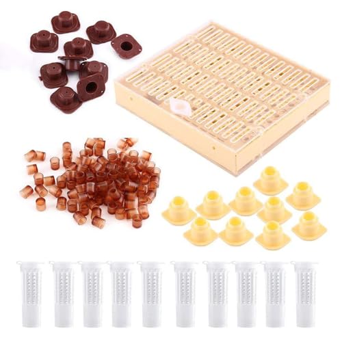 Sweeaau Queen Bees Aufzuchtbox für effiziente Honigbienen-Zuchtproduktion Landwirtschaft Acryl Imkerei Werkzeug Essential Supplies Imkerausrüstung von Sweeaau