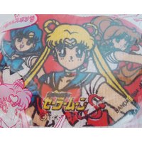 Der Sailor Moon Body Sponge.1994.xtra Rare Der Sailor Moon Body Sponge.1994.xtra Rare von SweetVintageGoods