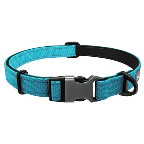 Blau Hundehalsband Kleine Hunde - Stark Reflektierend Verstellbar Gepolstert Hunde Halsbänder - Aluminium V-Ring Hund Sicherheit von Sweetie