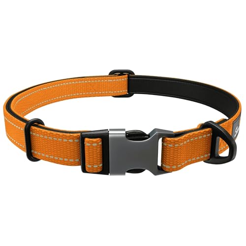 Orange Hundehalsband Kleine Hunde - Stark Reflektierend Verstellbar Gepolstert Hundehalsbänder - Metallschnalle, Aluminium V-Ring, Hundesicherheit von Sweetie