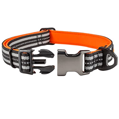 Starkes Hundehalsband Kleine Hunde - Schwarz Grau Reflektierend Verstellbar Gepolstert Hundehalsbänder - Aluminium V-Ring Hund Sicherheit Starkes Hundehalsband Kleine Hunde - Schwarz Grau Reflektierend Verstellbar Gepolstert Hundehalsbänder - Aluminium V-Ring Hund Sicherheit von Sweetie