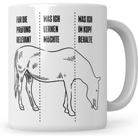 Student Tasse, Lustiges Studium Geschenk, Geschenke Für Studentin, Erstsemester, Sarkasmus Ironie Teetasse, Kaffeetasse Uni Universität von SweetifyNET
