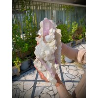 Natürliche Pin Kunzit Terminierte Kristalle Mit Quarz-Kristallen Kombinieren Exemplar Natürliche Pin Kunzit Terminierte Kristalle Mit Quarz-Kristallen Kombinieren Exemplar von SwissGemCraft