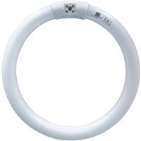 Swissinno TUBE_T6-22W UVA 22W round UV-Ring Passend für Marke (Tiervertreiber) Swissinno UV-Insekte von Swissinno