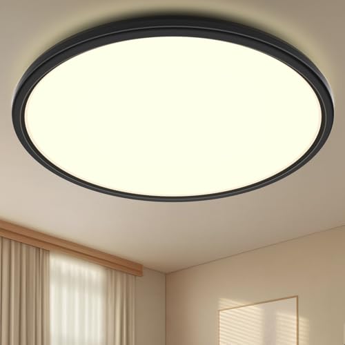 Swoieltr Deckenlampe LED Ultradünne Deckenleuchte mit Fernbedienung Dimmbar (3000K-6500K), 24W 2800LM, IP44 | Ø30cm (2,4cm) | Küchenlampe, Deckenleuchten Für Wohnzimmer, Schlafzimmer, Badezimmer von Swoieltr