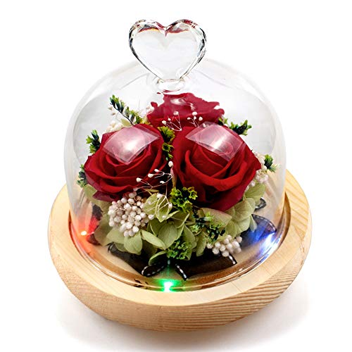 Sayapeiy Konservierte Blume Ewige Rose mit 8 Farben LED Licht Geschenke für Frauen Freundin Mutter zu Muttertag Valentinstag Weihnachten Geburtstag Hochzeit von Sayapeiy