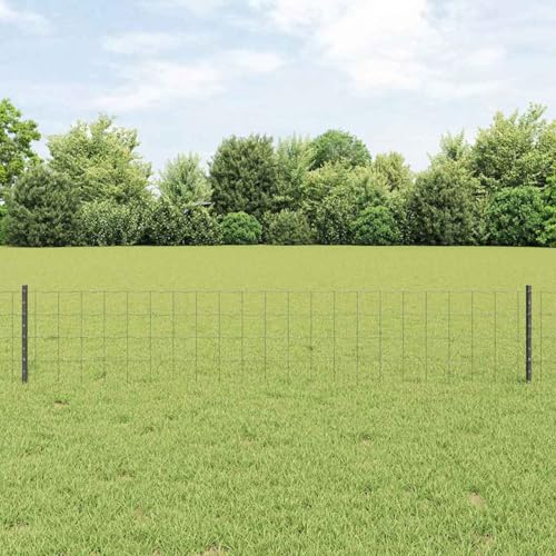 Euro Zaun Set von 2 Grau Metall Groß Erweiterbar Euro Zaun, Zaunpfosten Drahtzaun für einfache Einzäunung von Hof Garten Obstplantage3336114 Euro Zaun Set von 2 Grau Metall Groß Erweiterbar Euro Zaun, Zaunpfosten Drahtzaun für einfache Einzäunung von Hof Garten Obstplantage3336114 von Swpsd