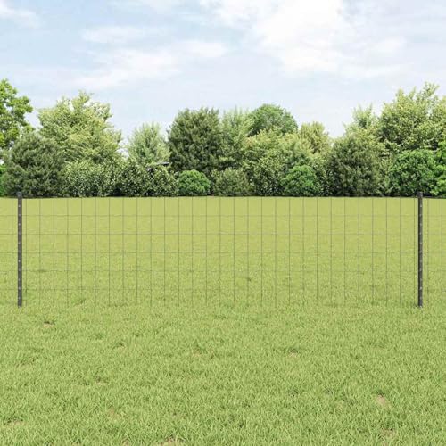 Euro Zaun mit 5 U-Posten Grau 0,6x10 m Stahl, Zaunpfosten Drahtzaun für einfache Einzäunung von Hof Garten Obstplantage3336079 von Swpsd