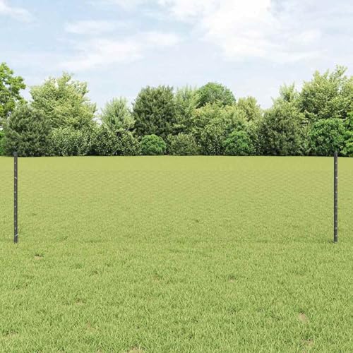 Gartenzaunset Set aus 2 Grau Metall Groß Langlebig Gartenzaun, Zaunpfosten Drahtzaun für einfache Einzäunung von Hof Garten Obstplantage3336846 Gartenzaunset Set aus 2 Grau Metall Groß Langlebig Gartenzaun, Zaunpfosten Drahtzaun für einfache Einzäunung von Hof Garten Obstplantage3336846 von Swpsd