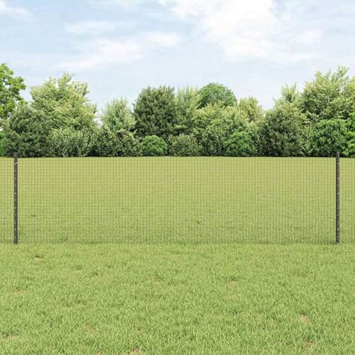 Gepresster Drahtzaun mit 5 U-Pfosten Grau 0,6x10 m Stahl, Zaunpfosten Drahtzaun für einfache Einzäunung von Hof Garten Obstplantage3336556 Gepresster Drahtzaun mit 5 U-Pfosten Grau 0,6x10 m Stahl, Zaunpfosten Drahtzaun für einfache Einzäunung von Hof Garten Obstplantage3336556 von Swpsd
