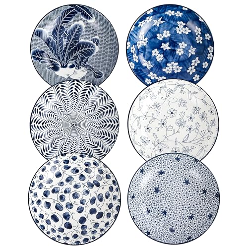 Swuut Keramik Pastateller Set von 6, Blau und Weiß Porzellan 20cm Salatschüsseln, Abendessen Flache Teller Servieren Vorspeise Salat Dessert Snack Schale (20cm) von Swuut