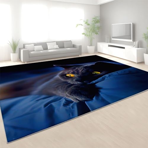 Sxakswol Teppich Wohnzimmer 140x200 cm Katze 3D Teppich Tier Schwarz Küche Esszimmer Schlafzimmer Teppich Kurzflor rutschfest Waschbar Teppiche Weich Pflegeleicht Y202 von Sxakswol