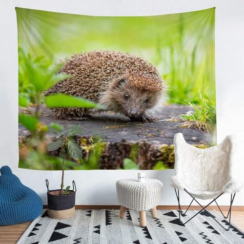 Sxakswol Wandteppich Groß Igel Wandbehang Grüne Pflanzen Tapisserie 3D Wandtuch Igel Wandteppiche Aesthetic für Wohnzimmer Schlafzimmer Wohnheim Wanddeko, 150x200 cm von Sxakswol