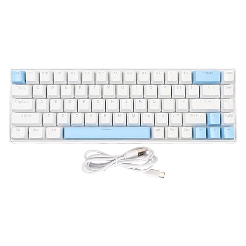 Mechanische Gaming-Tastatur mit 68 Tasten, 10 RGB-Modi, N-Key-Rollover, Kompaktes Layout, Blauer Schalter, USB-Kabel für Desktop-Laptop-PC (Blau) von Sxhlseller