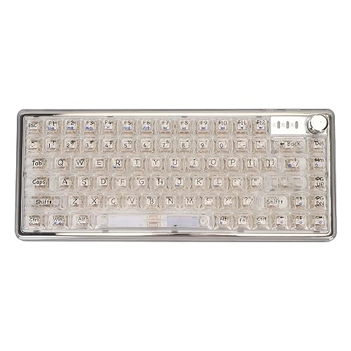Sxhlseller Hot Swap fähige Mechanische Tastatur, DIY mechanische Tastatur mit Transparenten Tastenkappen, BT Kabel 2,4 G Verbindung, RGB hintergrundbeleuchtete, Individuelle Gaming (White) von Sxhlseller