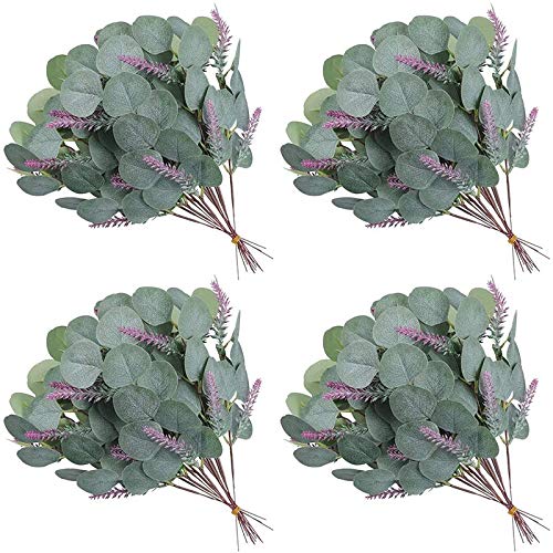 Sxmrmnx 24 StüCk KüNstliche EukalyptusbläTter StäNgel Bulk Faux Greenery StäNgel Pflanze Silberdollar Eukalyptuszweige Sxmrmnx 24 StüCk KüNstliche EukalyptusbläTter StäNgel Bulk Faux Greenery StäNgel Pflanze Silberdollar Eukalyptuszweige von Sxmrmnx