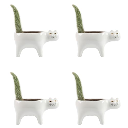 Sxmrmnx 4X SüßE Katze Keramik Garten Blumentopf Tierbild Pflanze ÜBertopf Sukkulente Container Tischdekoration Sxmrmnx 4X SüßE Katze Keramik Garten Blumentopf Tierbild Pflanze ÜBertopf Sukkulente Container Tischdekoration von Sxmrmnx