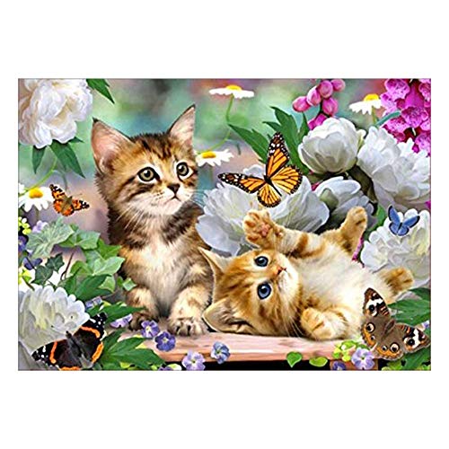 Sxmrmnx 5D DIY Diamantmalerei Diamantmalerei Kits für Erwachsene und Kinder Diamond Arts Craft für Home Wall Decor Cat Butterflies von Sxmrmnx