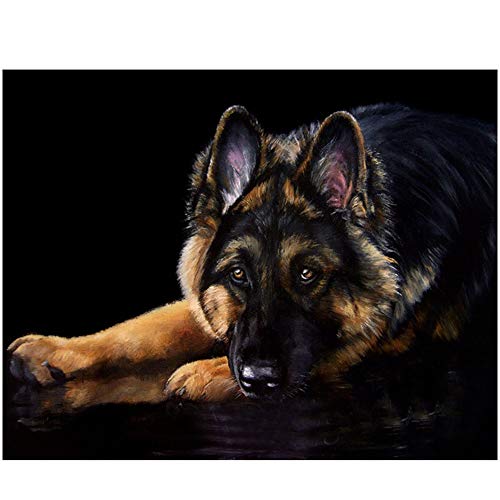 Sxmrmnx Diamant Malerei Kreuz Stitc Runde Tiere Hund Bilder Nach Zahlen Stickerei Wand Sxmrmnx Diamant Malerei Kreuz Stitc Runde Tiere Hund Bilder Nach Zahlen Stickerei Wand von Sxmrmnx