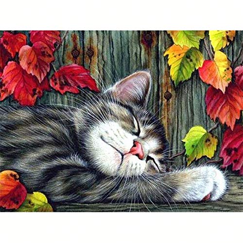 Sxmrmnx Diamant Malerei Rund Bohr Maschine Katze Diamant Malerei Stickerei Kreuz Stich Kristall Bild Sxmrmnx Diamant Malerei Rund Bohr Maschine Katze Diamant Malerei Stickerei Kreuz Stich Kristall Bild von Sxmrmnx
