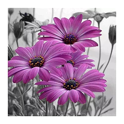 Sxmrmnx Diamant Stickerei Blumen Full Round Drill Diamant Malerei Kreuzstich Muster Bild Von Strass Diamant Sxmrmnx Diamant Stickerei Blumen Full Round Drill Diamant Malerei Kreuzstich Muster Bild Von Strass Diamant von Sxmrmnx