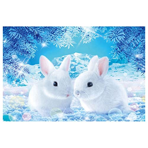 Sxmrmnx Vollkreis Diamant 5D DIY Diamant Malerei Schneekanin Stickerei Kreuzstich 5D Haus Dekoration Geschenk Sxmrmnx Vollkreis Diamant 5D DIY Diamant Malerei Schneekanin Stickerei Kreuzstich 5D Haus Dekoration Geschenk von Sxmrmnx