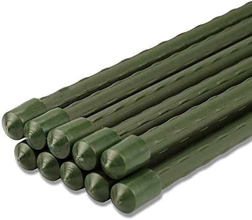 25 Stück Gartenstecker 11 mm x 60 cm Pflanzenpfähle stabile Pflanzenstütze (11 mm x 60 cm) von Sxspace