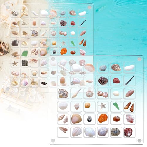 Sxutop 2 Stück Muschel Display Box Acrylic Magnetic Seashell Display Box Klare Muschel Aufbewahrungsbox Transparente Seashell Storage Box für Nagelbohrer Schmuck Kristall (36 und 64 Fächer) von Sxutop