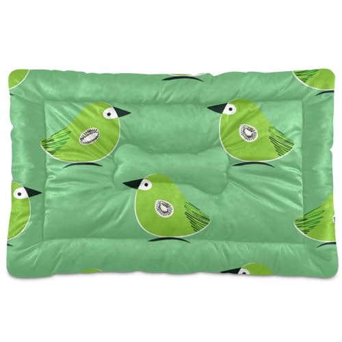 Oliver Jeffers Haustier-Schlafmatte im Kiwi-Jade-Vogel-Design, waschbar, weich, bequem, rutschfeste Unterseite, Haustiermatte für mittelgroße und große Hunde, 91,4 x 61 cm, Grün von SyXIOP