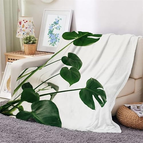 Kuscheldecke 150x200 Pflanze Flauschig Decke Grüne Monstera Warm Flanell Fleecedecke für Sofa und Bett, Weich Gemütlich Wohndecke als Couchdecke Bettüberwurf Wohnzimmerdecke von Syhi Mdse