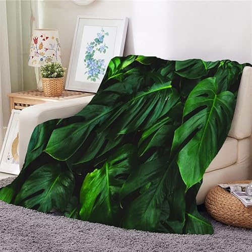 Kuscheldecke 150x200 Pflanze Flauschig Decke Grüne Monstera Warm Flanell Fleecedecke für Sofa und Bett, Weich Gemütlich Wohndecke als Couchdecke Bettüberwurf Wohnzimmerdecke von Syhi Mdse