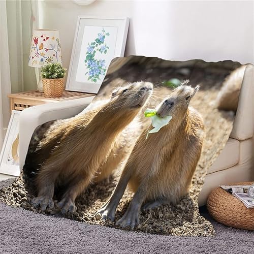 Kuscheldecke Flauschig Decke 180x220 Wasserschwein Warm Flanell Fleecedecke Braunes Tier für Sofa und Bett, Gemütlich Weich Wohndecke als Tagesdecke Sofadecke Kniedecke von Syhi Mdse