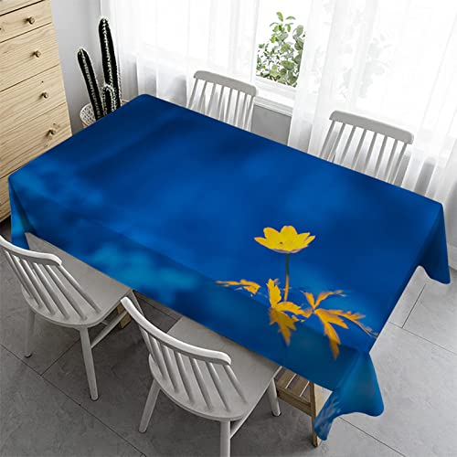 Syhi Qlty Abwischbare Tischdecke 140x200 cm - Outdoor Tischdecke Bierzeltgarnitur Wasserabweisend Tischtuch Bügelfreie Garten Tischdecken für Draußen Party - Gelbe Blume Blau von Syhi Qlty