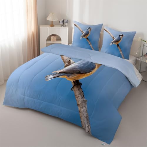 Syhi Qlty Bettdecke 240x220 cm Vogel & Pflanze Steppdecke 4 Jahreszeiten Dschungel - Bettdecke Ohne Bezug Waschbar Blau Schlafdecke Leichte Wende + 2 Kissenbezüge 80x80cm J161 von Syhi Qlty