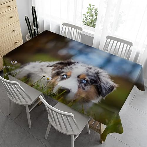 Syhi Qlty Tischdecke Klein 100x100 cm - Hund Tischdecke Abwaschbar Outdoor Tischdecken Wetterfest Biertisch Tischdecke für Kindergeburtstag Garten Party Hochzeit von Syhi Qlty