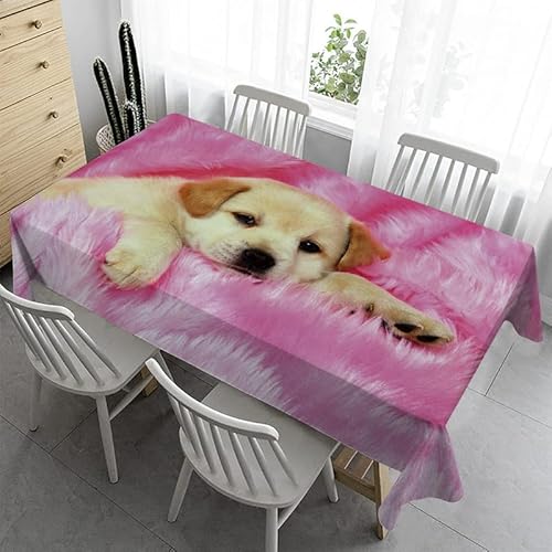 Syhi Qlty Tischdecke Klein 100x100 cm - Rosa Hund Tischdecke Abwaschbar Outdoor Tischdecken Wetterfest Biertisch Tischdecke für Kindergeburtstag Garten Party Hochzeit von Syhi Qlty