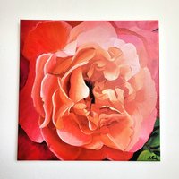 Augusta Louise Rose Fotokunstdruck Auf Leinwand | 40 X 40 cm Augusta Louise Rose Fotokunstdruck Auf Leinwand | 40 X 40 cm von SylviaEderArt