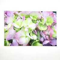Hortensie Leinwanddruck, Cottagecore Kunstdruck | 40 X 60 cm Hortensie Leinwanddruck, Cottagecore Kunstdruck | 40 X 60 cm von SylviaEderArt