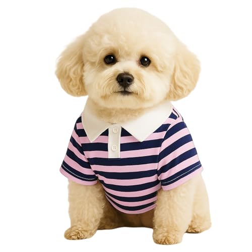 Hunde-Shirts für Kleine Hunde, Sommer Gestreifte Pet Poloshirt, Welpenkostüm Modische Kleidung für kleine Hundekatze Kleidung (Rosa, 2XL) von Symphonyw